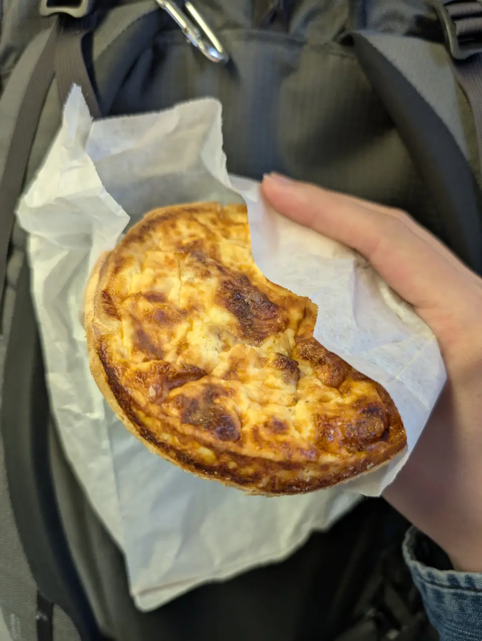 Part de quiche lorraine, appareil doré